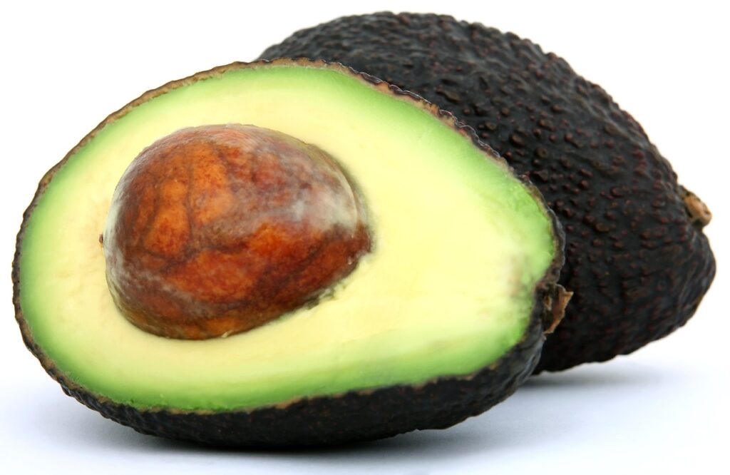 appetite, avacado, avo-1238257.jpg