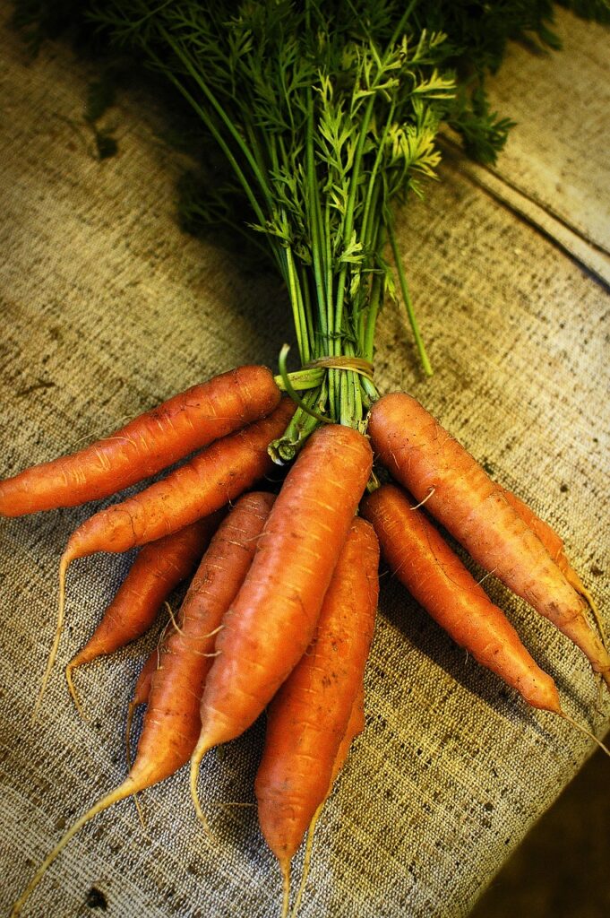 carrot, food, farm-664741.jpg