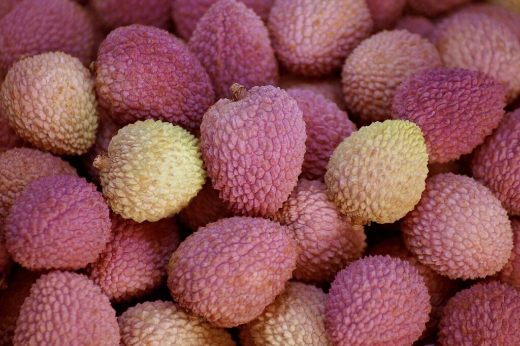 lychee, litchi, fruit-3999315.jpg